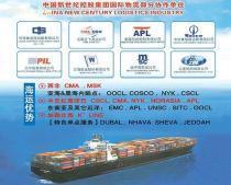 專業(yè)進(jìn)出口代理服務(wù)，助力企業(yè)高效拓展全球市場