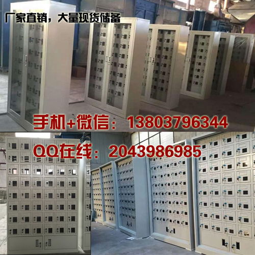 桑海經(jīng)濟技術開發(fā)區(qū)政府機關手機寄存柜廠家報價及上海軟件開發(fā)服務概述